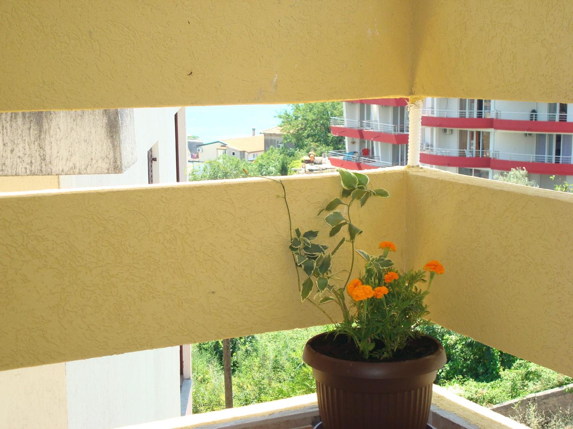 Apartments Cejovic أولتْسي المظهر الخارجي الصورة